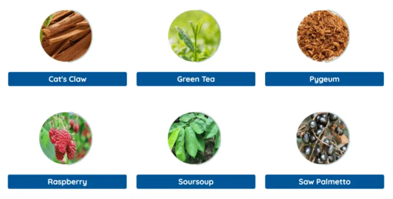 Natural ingredients used in Prostea Peak prostate health supplement